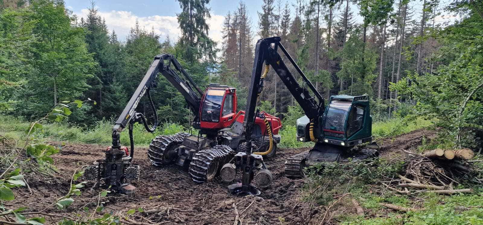 globalforest.sk - Ťažba a výchova lesa v náročnom teréne